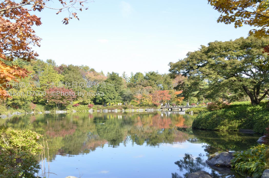 ［6］紅葉で賑わう日本庭園