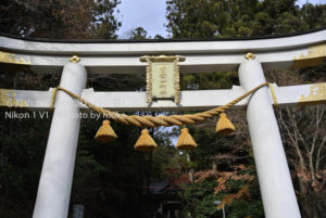 ［6］1900年もの歴史 −秩父 宝登山神社−