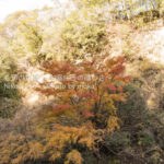 ［6］近場の渓谷美 〜養老渓谷〜