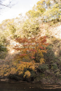 ［6］近場の渓谷美 〜養老渓谷〜