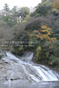 ［6］養老渓谷滝めぐり