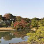 ［6］１２月の六義園