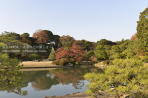 ［6］１２月の六義園