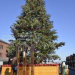 ［6］大きなクリスマスツリー