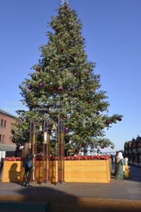 ［6］大きなクリスマスツリー