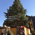 ［6］クリスマスツリーとカメラ女子