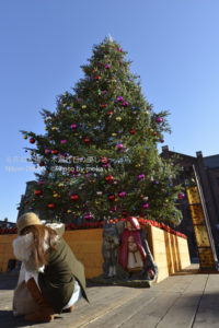 ［6］クリスマスツリーとカメラ女子
