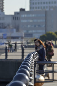 ［6］港の横、横浜