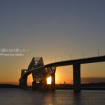 ［6］AF-S NIKKOR 50mm f/1.8G　新レンズの試し撮り！