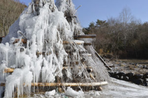 ［6］西湖の樹氷