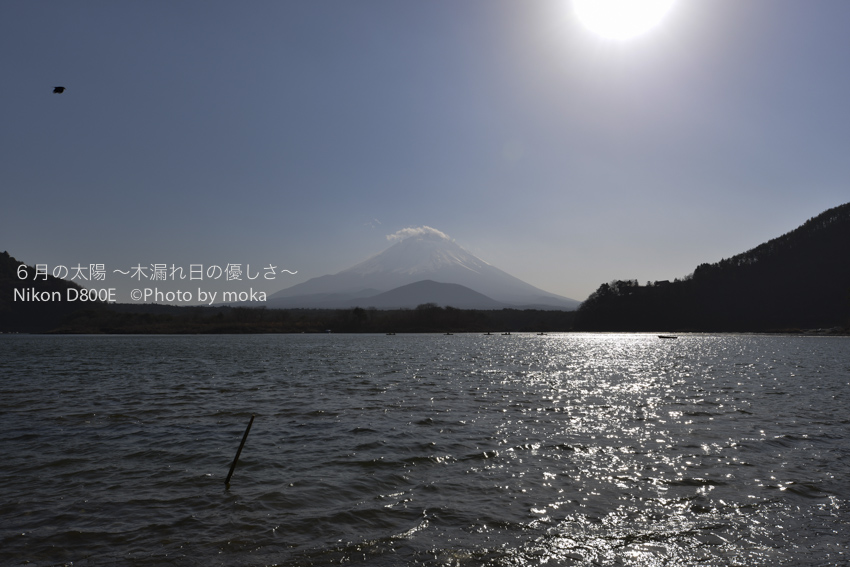 20130102_Mt.Fuji34