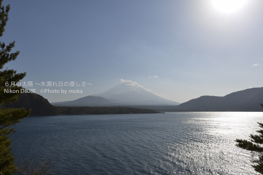 20130102_Mt.Fuji42