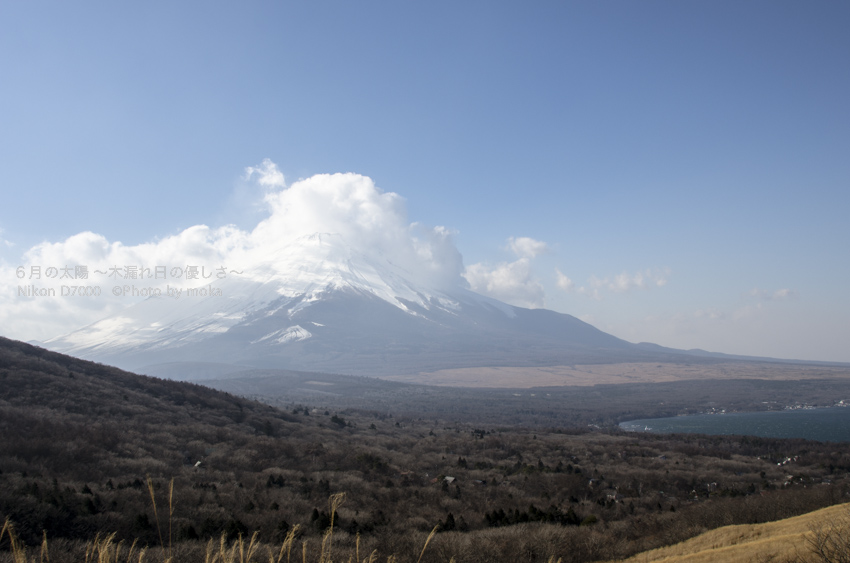 20130102_Mt.Fuji51