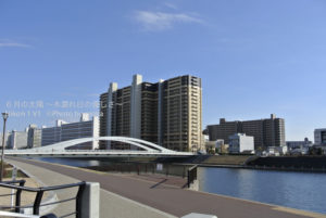 ［6］隅田川沿いを散歩