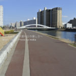 ［6］整備された土手沿い