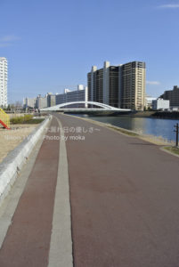 ［6］整備された土手沿い