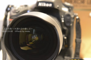 ［6］D800EとNIKKOR 14-24mm f/2.8G