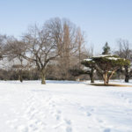 ［6］白銀の新宿御苑