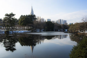 ［6］都心の冬景色