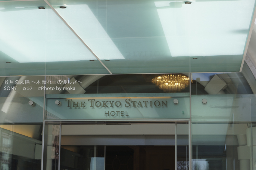 20130128_tokyo-station19
