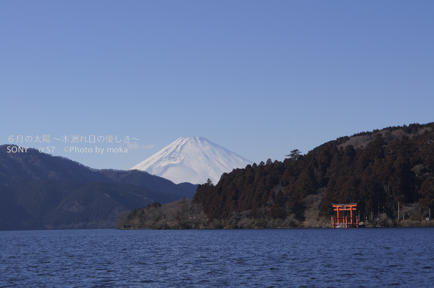 ［6］芦ノ湖から望む富士山