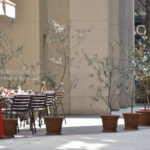 ［6］休日の丸の内