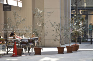 ［6］休日の丸の内