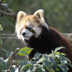 ［6］冬の動物園