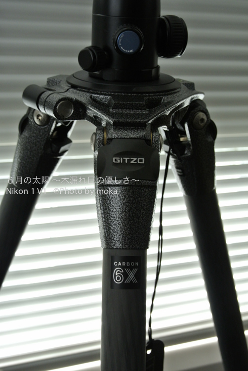 ［6］GITZO　GT２５３２（三脚）＆ SIRUI G20（雲台）
