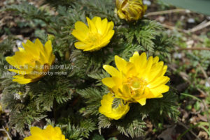 ［6］春を感じて！！