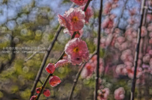 ［6］SONY α５７　HDR機能を使ってみました！