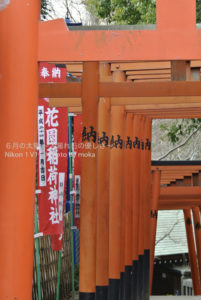 ［6］上野公園、花園稲荷神社