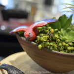 ［6］Nikonの新製品を試し撮り【Nikon1 J3】&【COOLPIX A】