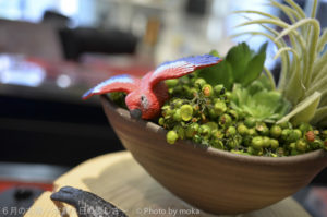 ［6］Nikonの新製品を試し撮り【Nikon1 J3】&【COOLPIX A】