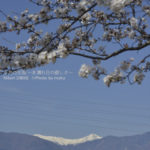 ［6］春の南アルプスと富士山