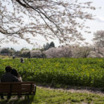 ［6］ずっと一緒に見ていたいね・・