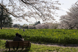 ［6］ずっと一緒に見ていたいね・・