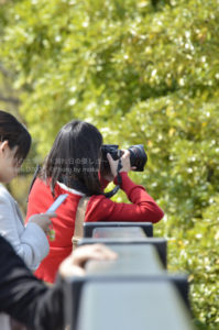 ［6］春のカメラ女子　〜 パートⅠ 〜