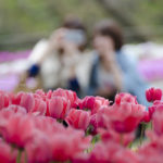 ［6］お花畑で記念撮影