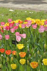 ［6］おとぎの国