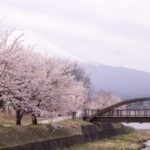 ［6］富士山と桜