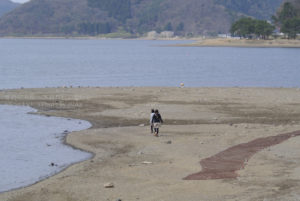 ［6］河口湖の過ごし方