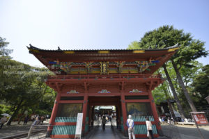 ［6］下町の神社