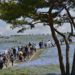 ［6］徐々に増える人の波、、