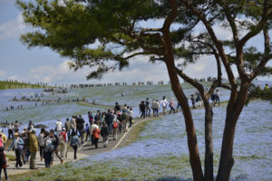 ［6］徐々に増える人の波、、