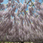 ［6］世界が息を呑んだ！