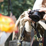 ［6］薔薇の花を楽しむ花ガール