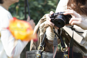 ［6］薔薇の花を楽しむ花ガール