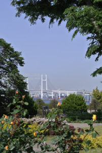［6］海と花が楽しめる公園　【港の見える丘公園】