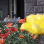 ［6］週２回目の古河庭園